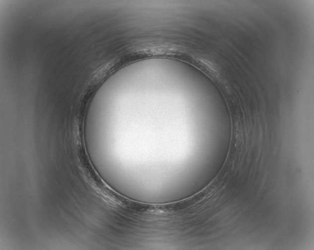 X0000056360453200508260950