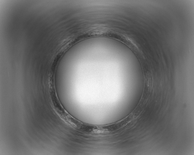 X0000056360455200508260950