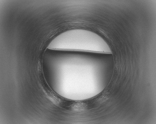 X0000056360459200508260950