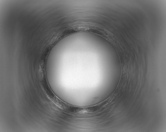X0000056360460200508260950