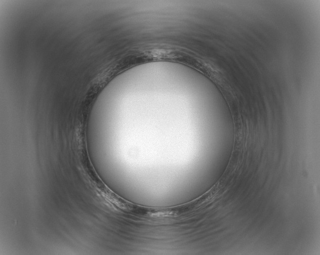 X0000056360461200508260950