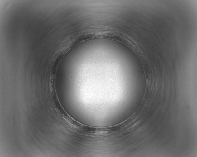 X0000056360462200508260950