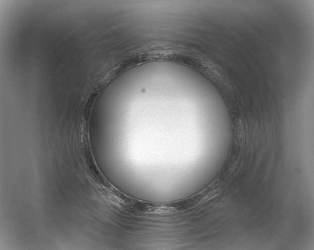 X0000056360463200508260950