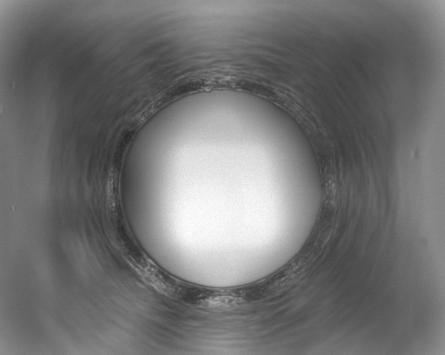 X0000056360468200508260950