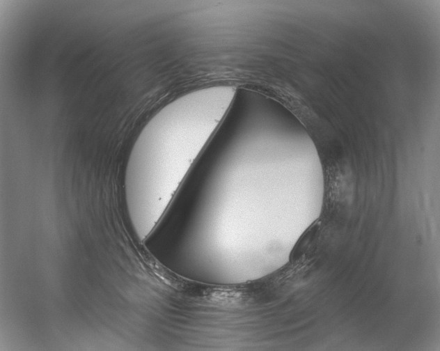 X0000056360471200508260951