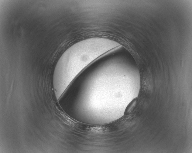 X0000056360473200508260951