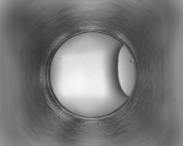 X0000056360482200508260950