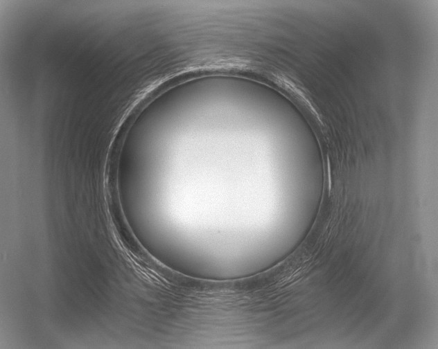 X0000056360483200508260950