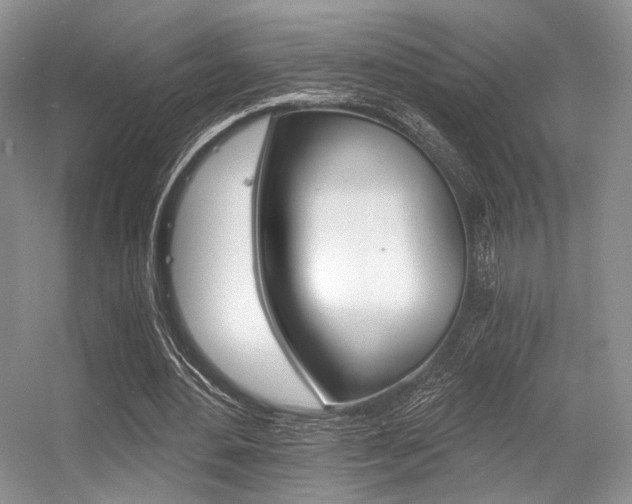 X0000056360484200508260950