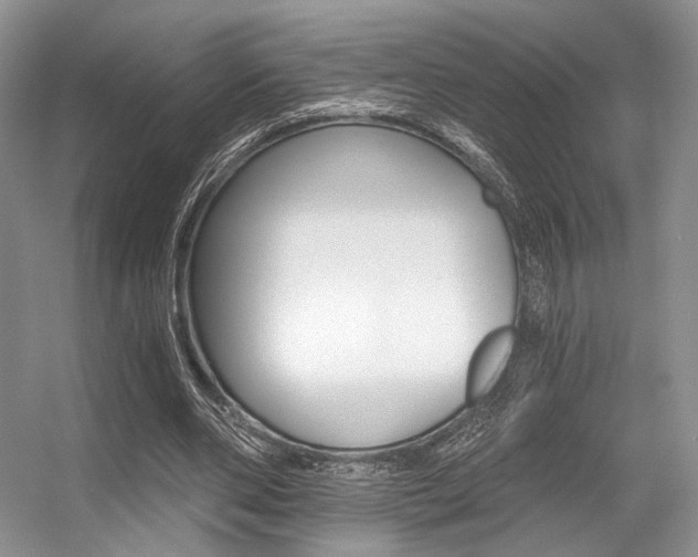 X0000056360486200508260950