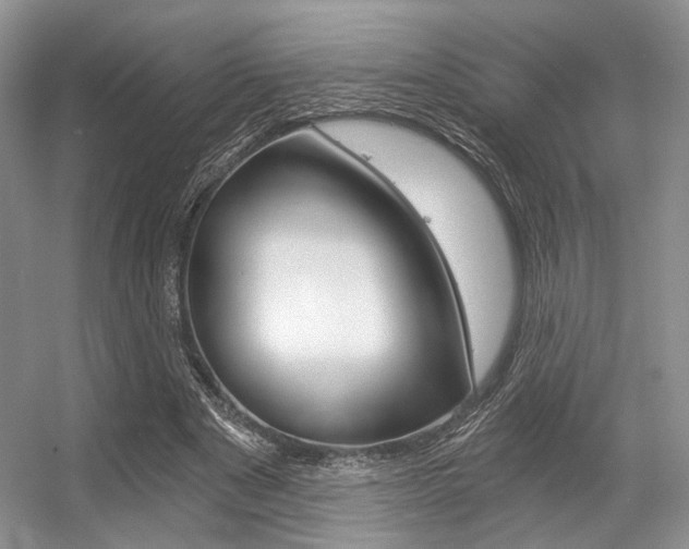 X0000056360489200508260950