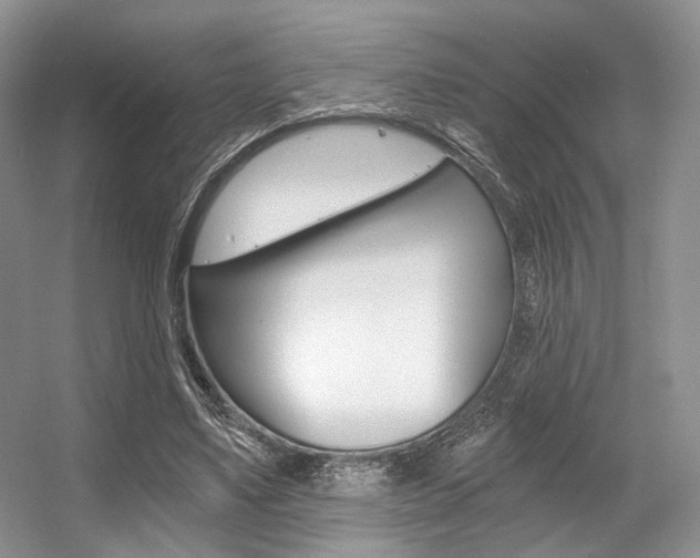 X0000056360491200508260950