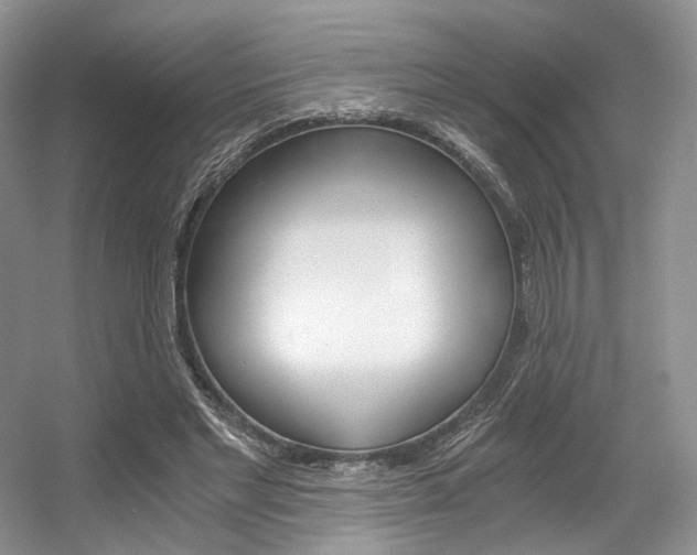 X0000056360493200508260950