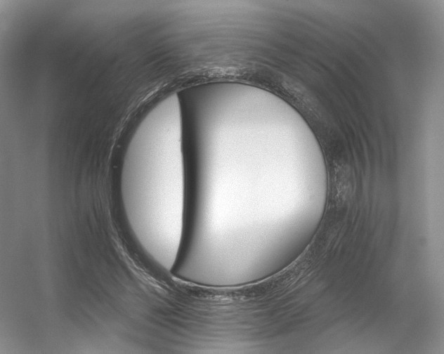 X0000056360494200508260950