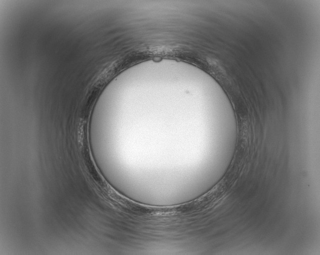 X0000056360495200508260950
