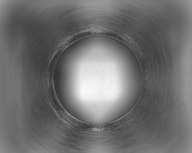 X0000056360496200508260950