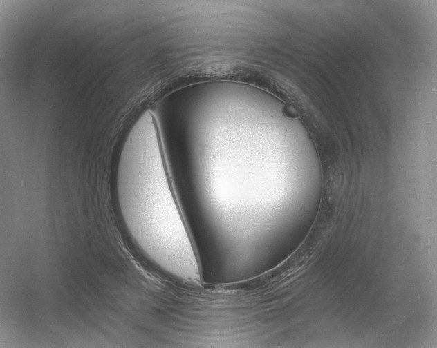 X0000056360497200508260950