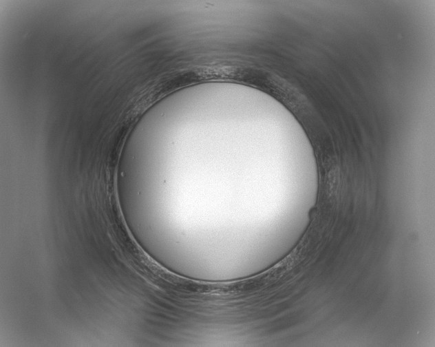 X0000056360498200508260950