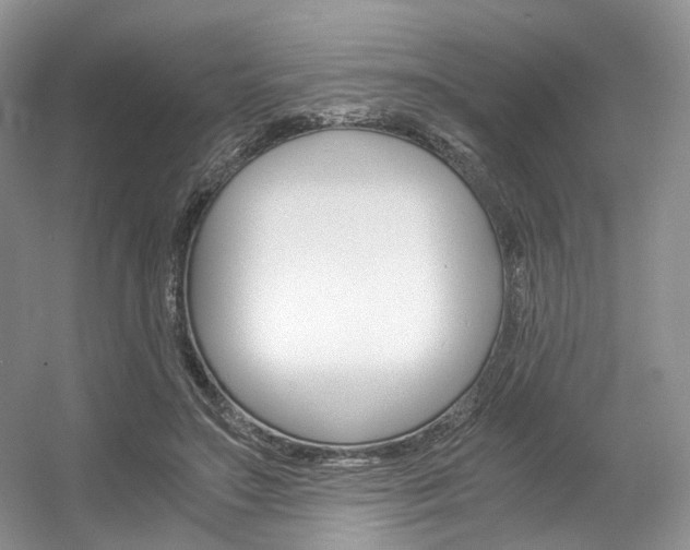 X0000056360499200508260950