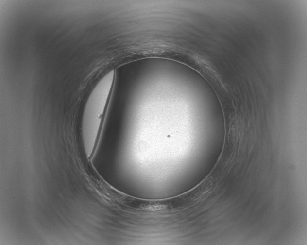 X0000056360501200508260950