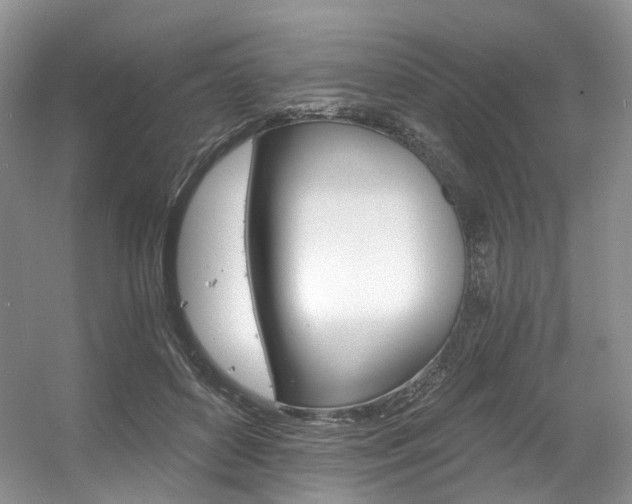 X0000056360504200508260949