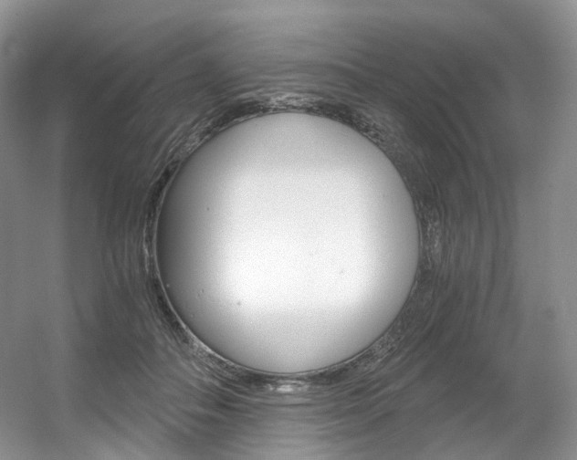 X0000056360506200508260949