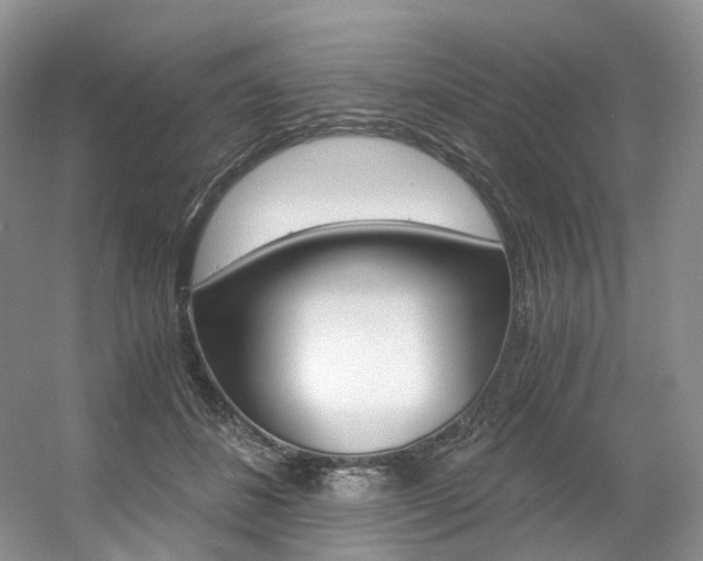 X0000056360508200508260949