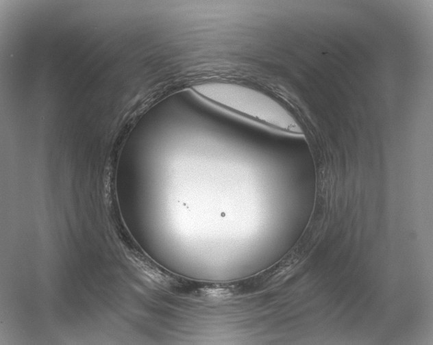 X0000056360509200508260949