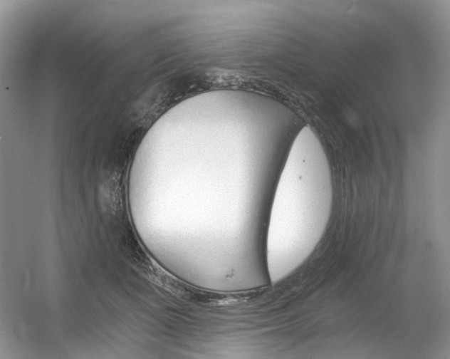 X0000056360511200508260949