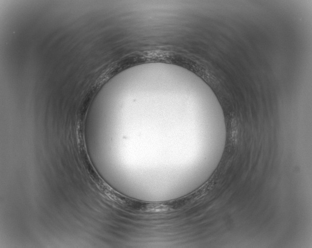 X0000056360514200508260949