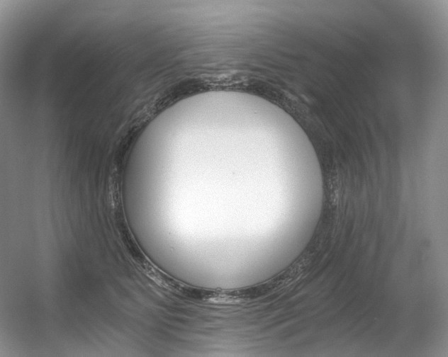 X0000056360515200508260949