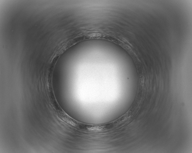 X0000056360516200508260949