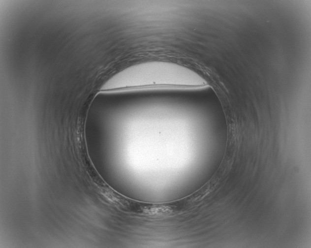 X0000056360517200508260949