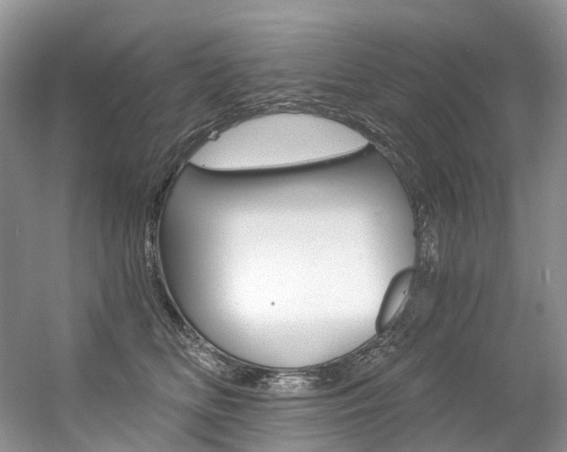 X0000056360518200508260949