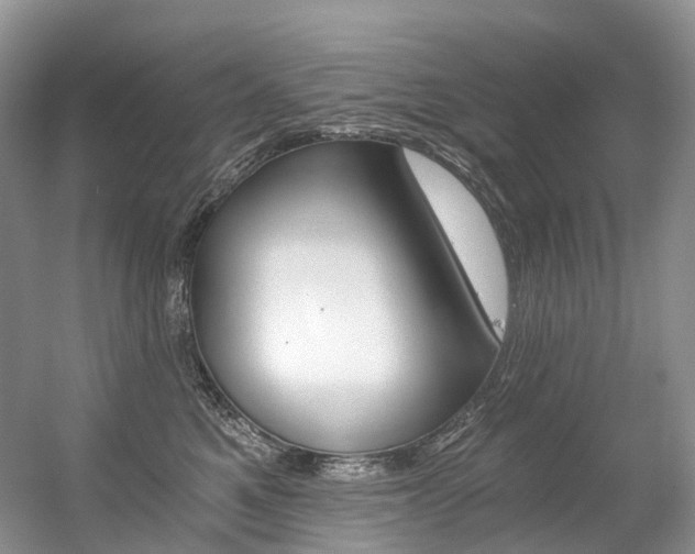 X0000056360521200508260949