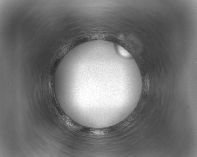 X0000056360522200508260949