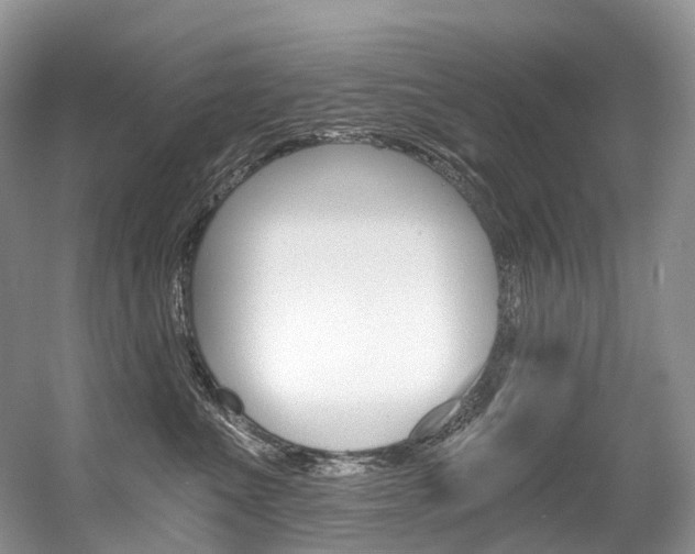 X0000056360523200508260949