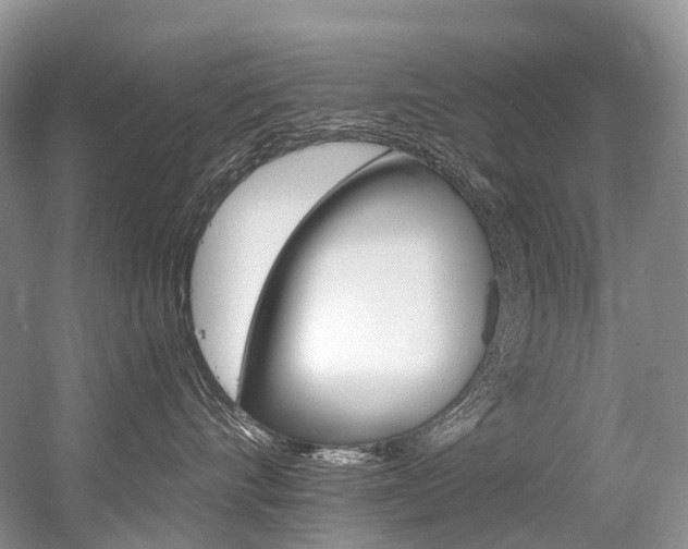 X0000056360528200508260949