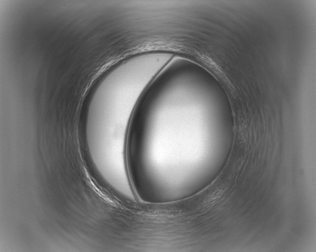 X0000056360530200508260948