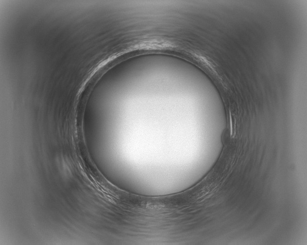 X0000056360531200508260948