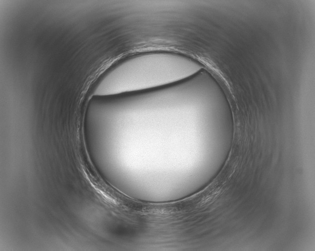 X0000056360533200508260948