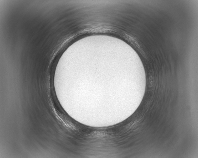 X0000056360534200508260948