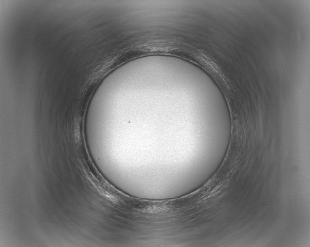 X0000056360537200508260948