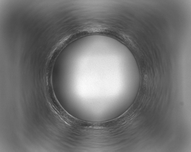 X0000056360539200508260948