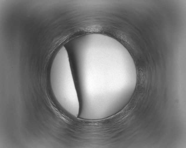 X0000056360541200508260948
