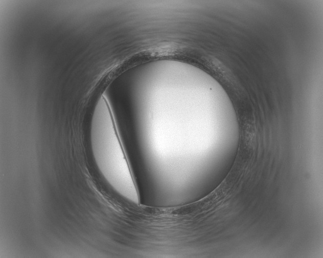 X0000056360543200508260948