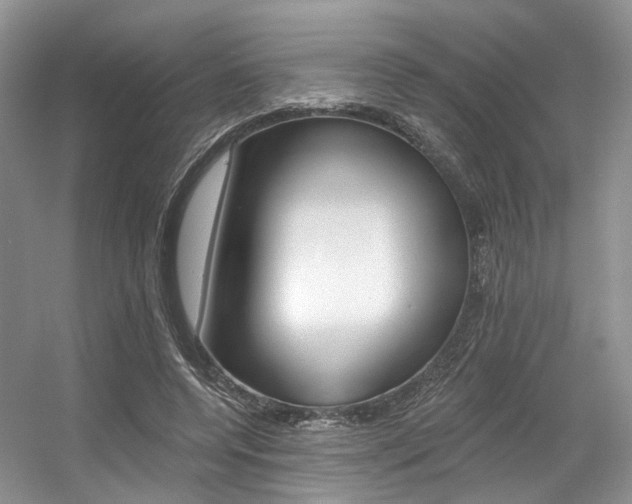 X0000056360544200508260949