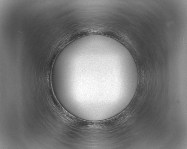 X0000056360545200508260949