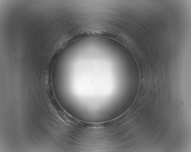 X0000056360548200508260949