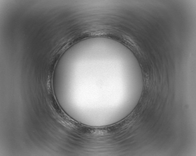 X0000056360549200508260949